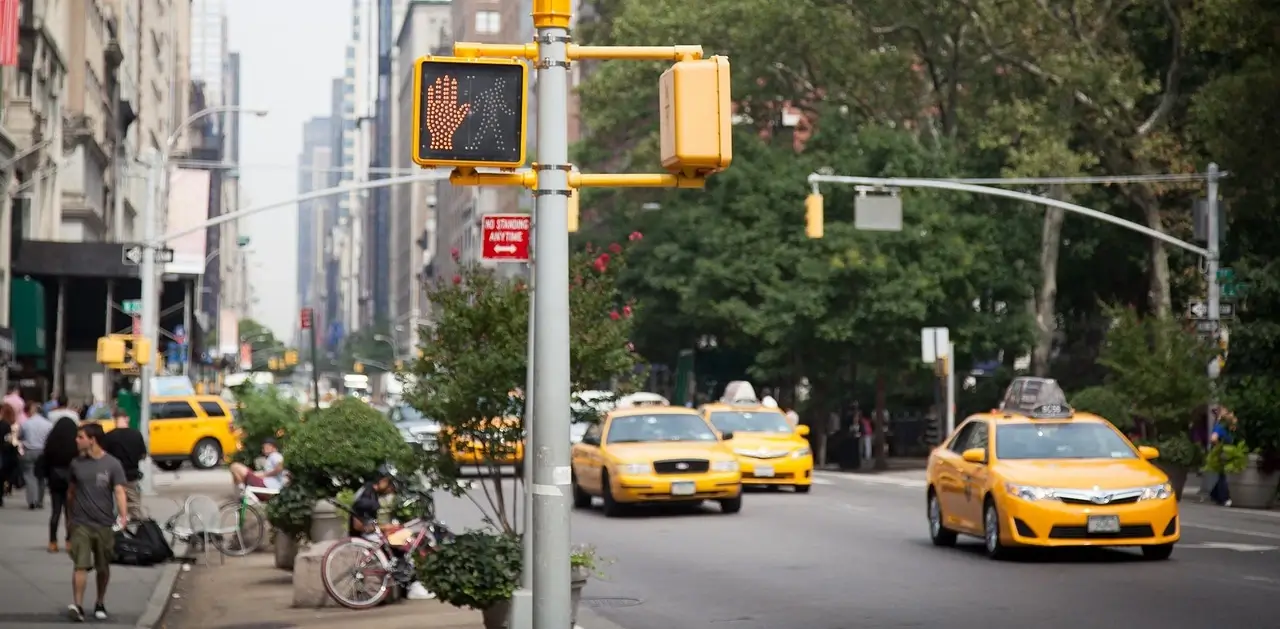 Image by Richard van Liessum from Pixabay